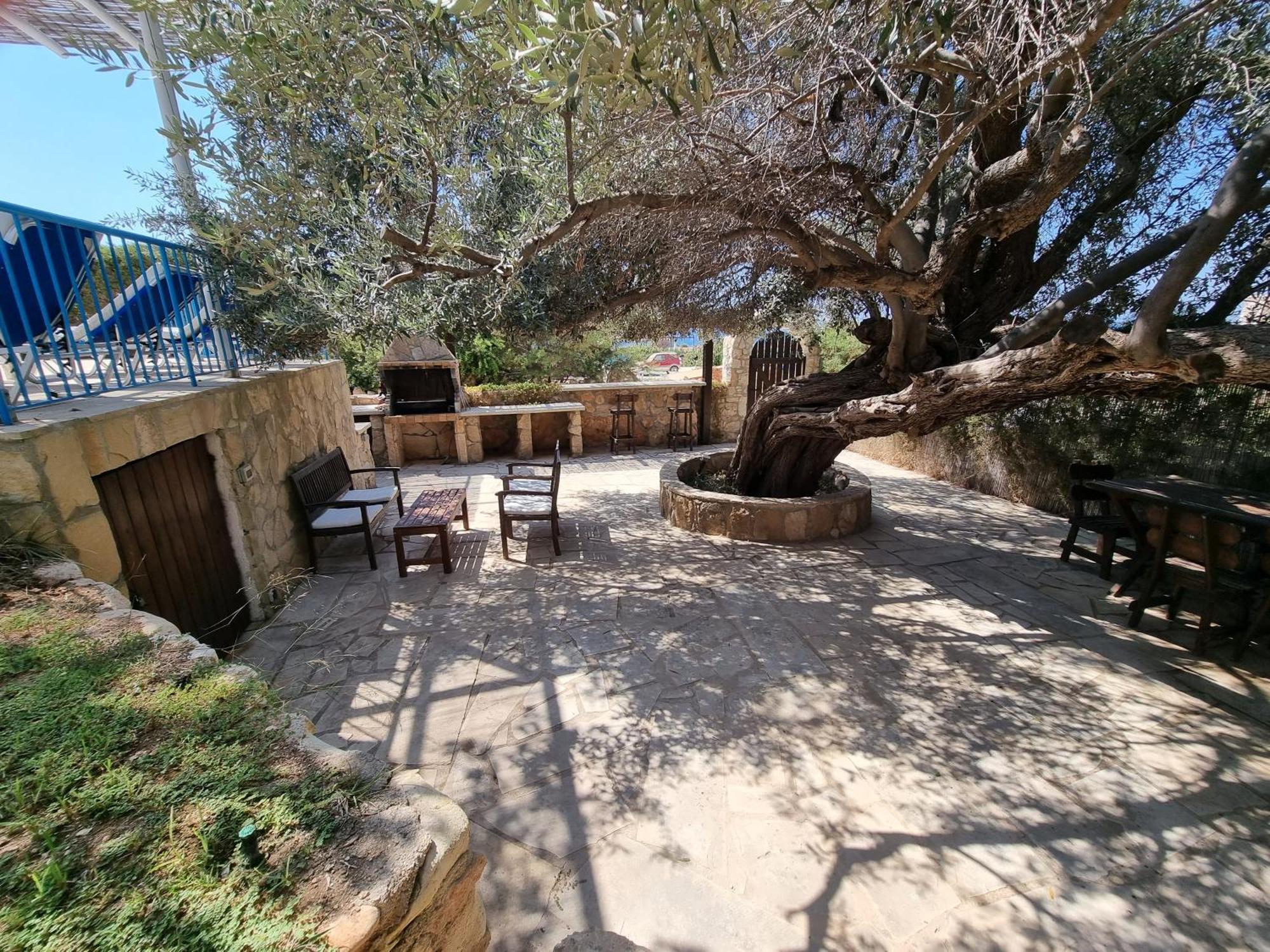 Olive Beach Villa Peyia Exterior photo