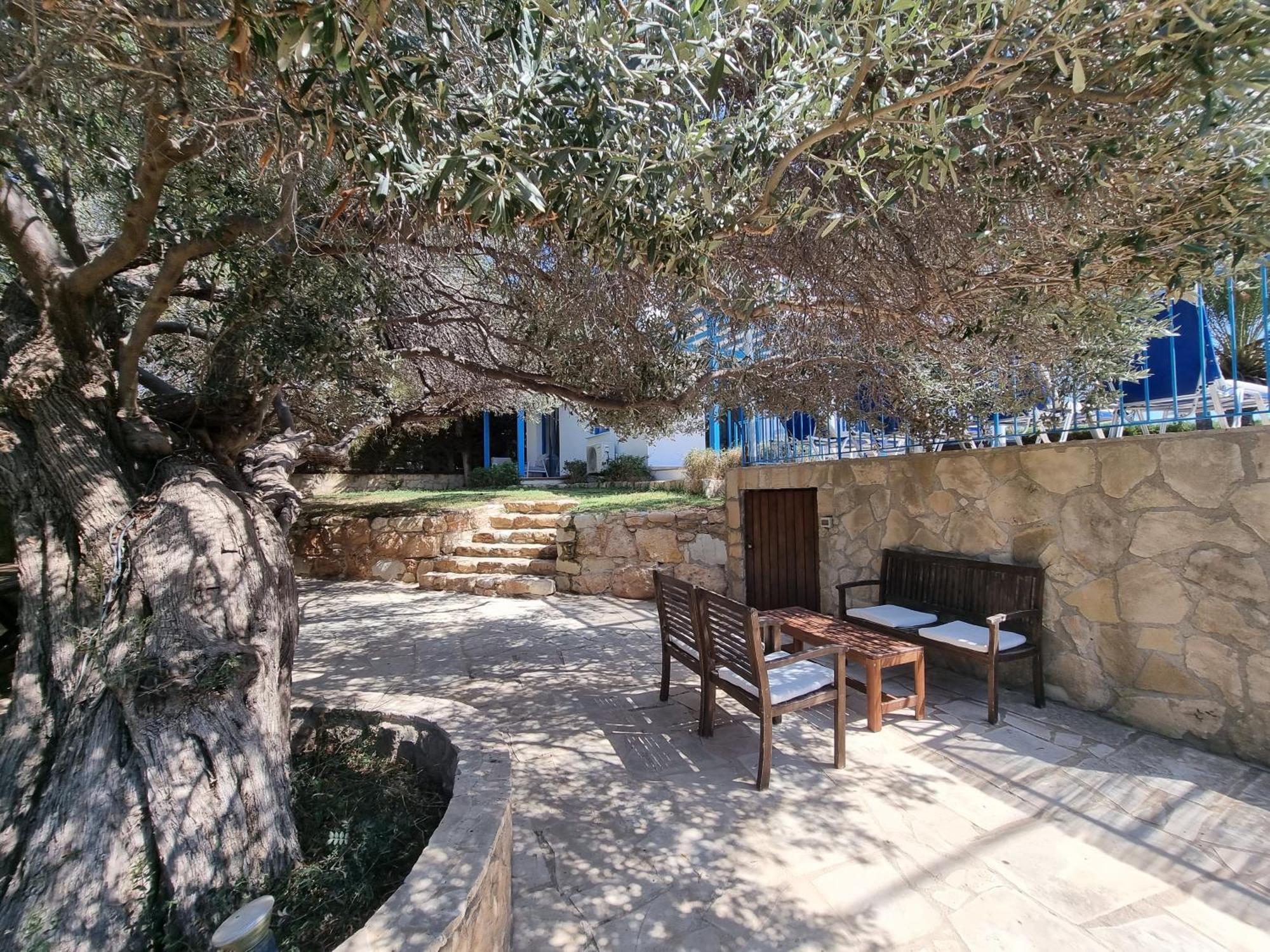 Olive Beach Villa Peyia Exterior photo